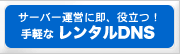 DNSレンタル